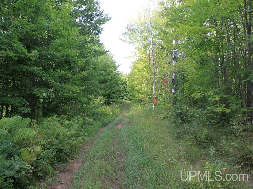 Tbd Shepards Ridge Road Lake Linden, MI 49945 - Photo 11 of 27 Gallery Image 11