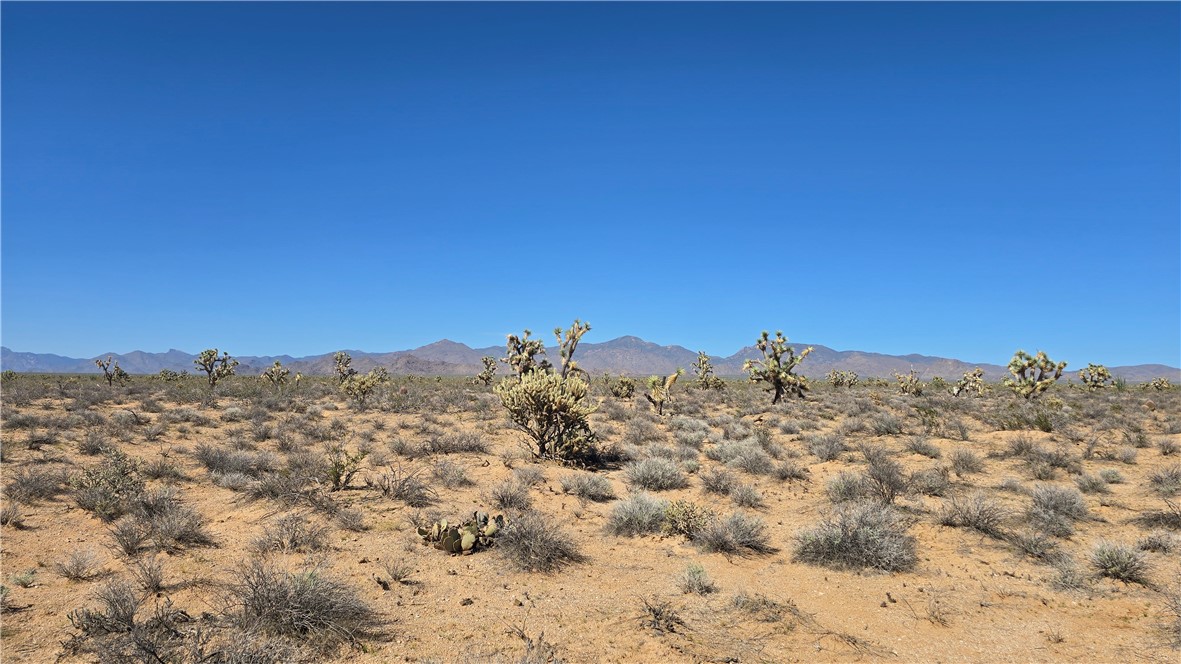 223-30-009 South Sundance Kid Road Yucca, AZ 86438 - Photo 3 of 13