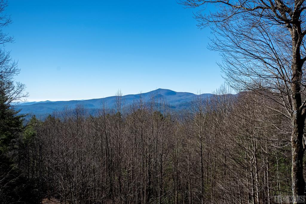 84 Stacey Russell Road Highlands, NC 28741 - Photo 15 of 45 Gallery Image 15