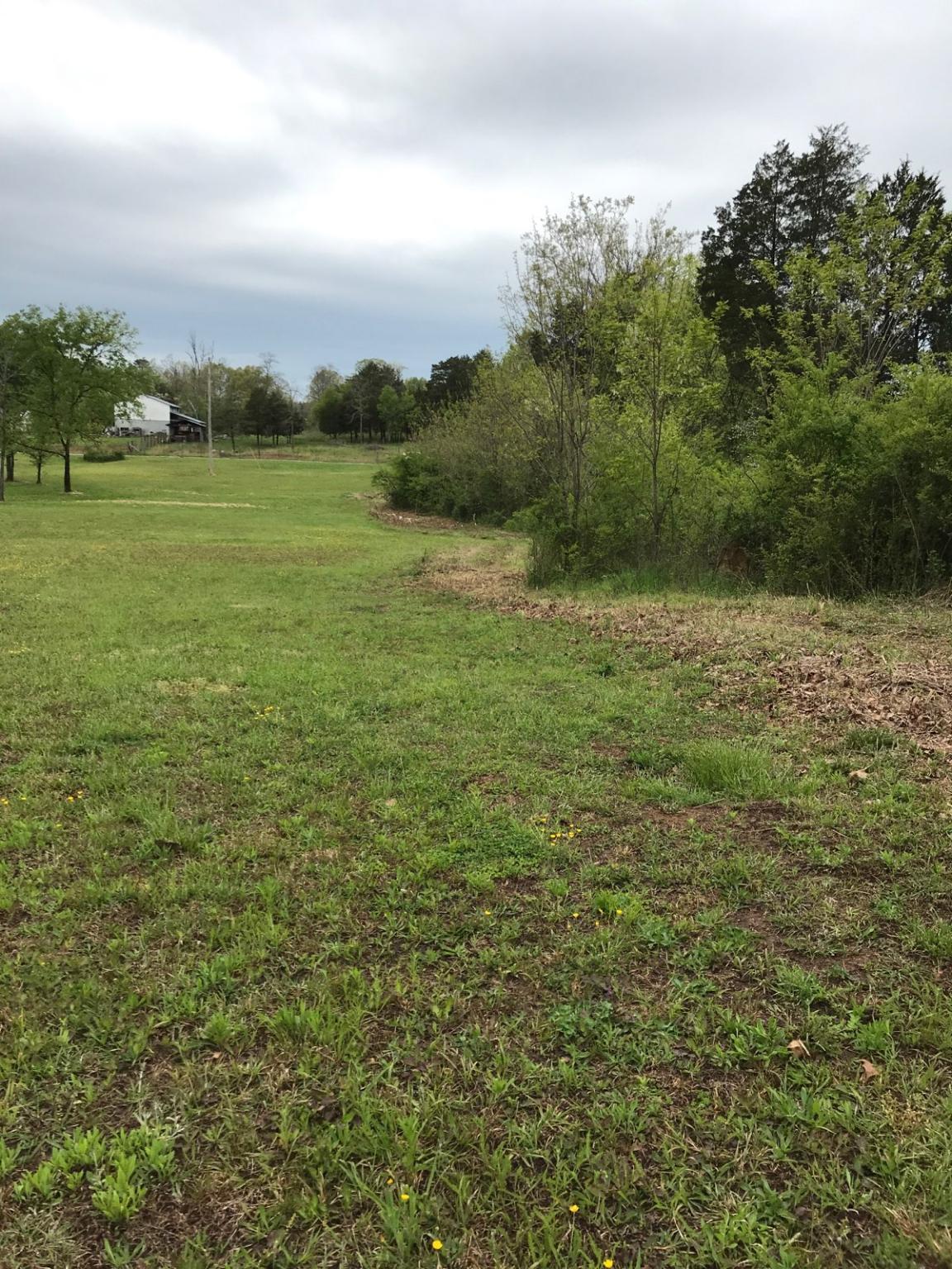 Dunsmore Lane Corryton, TN 37721 - Photo 1 of 4 IMG952028