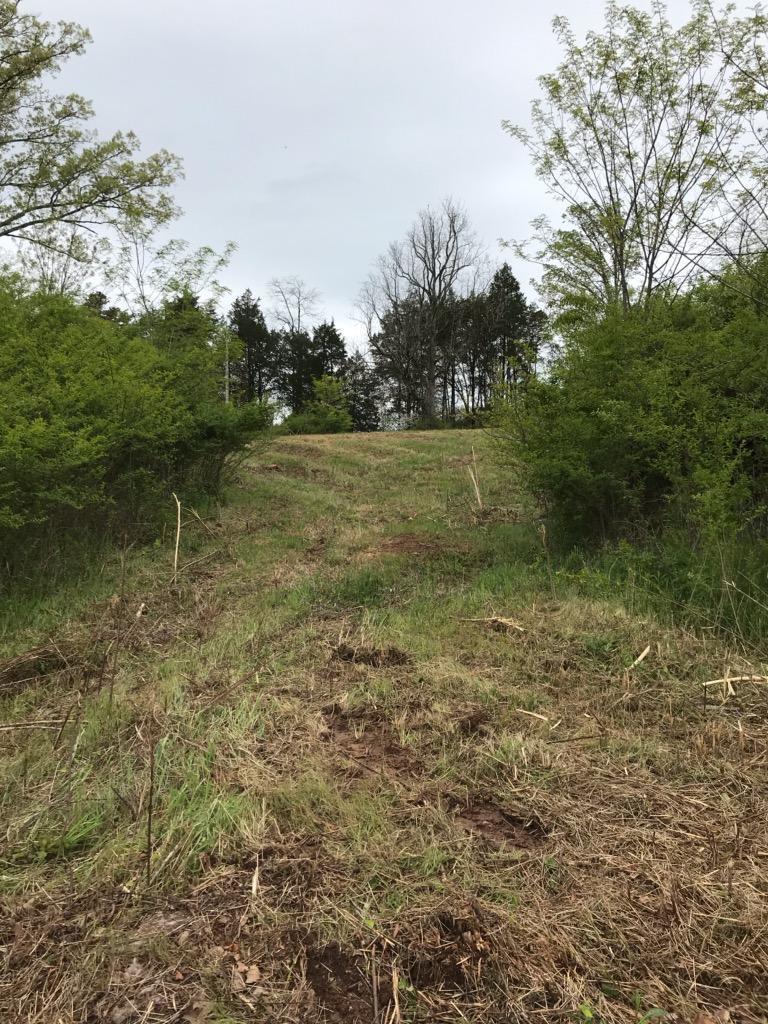 Dunsmore Lane Corryton, TN 37721 - Photo 3 of 4 IMG952026