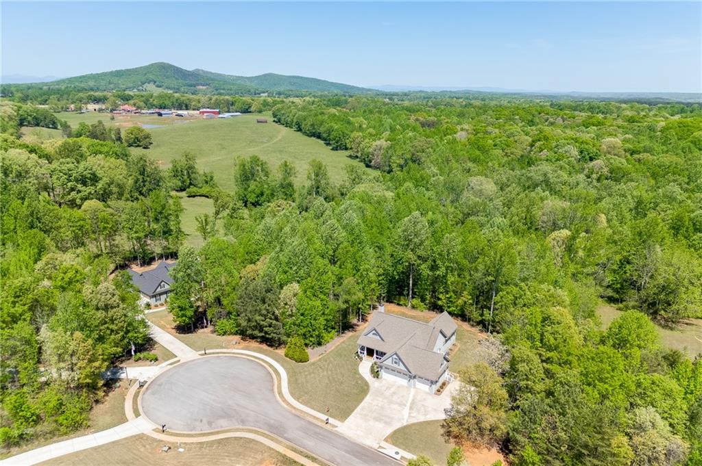 7660 Fern Lane Lula, GA 30554 - Photo 49 of 50 a view of a city with lush green forest