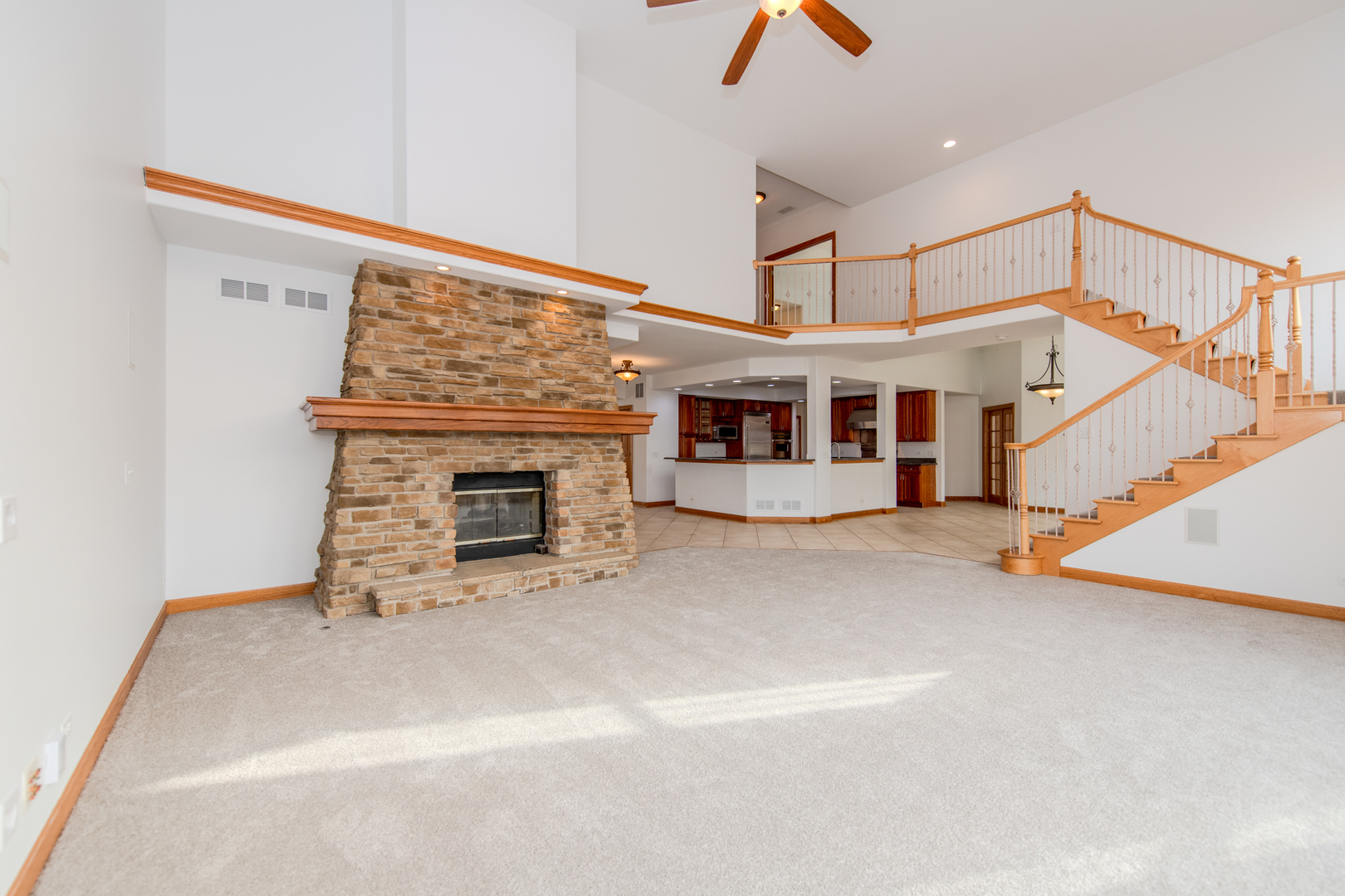 27009 Ashgate Crossing Plainfield, IL 60585 - Photo 5 of 46