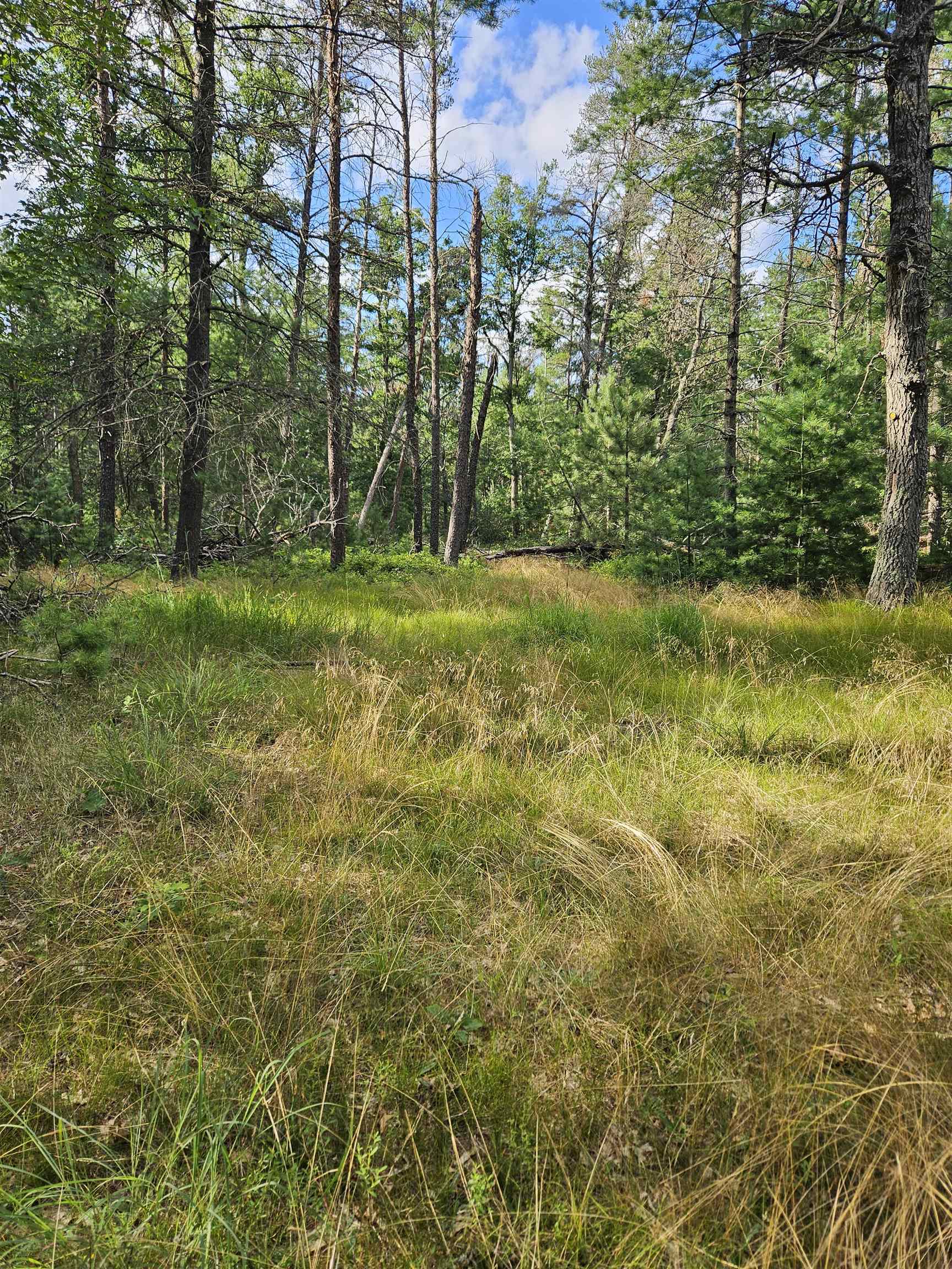 0 Curtis Road Hale, MI 48739 - Photo 12 of 24