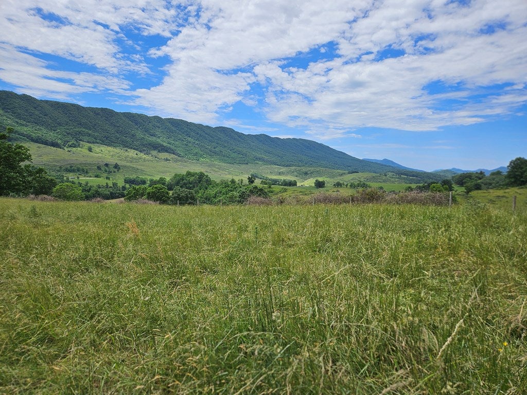 2451 Gratton Road Tazewell, VA 24651 - Photo 30 of 49 Gallery Image 30