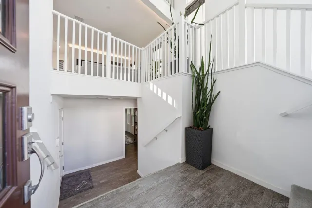 a view of a patio with plants and plants