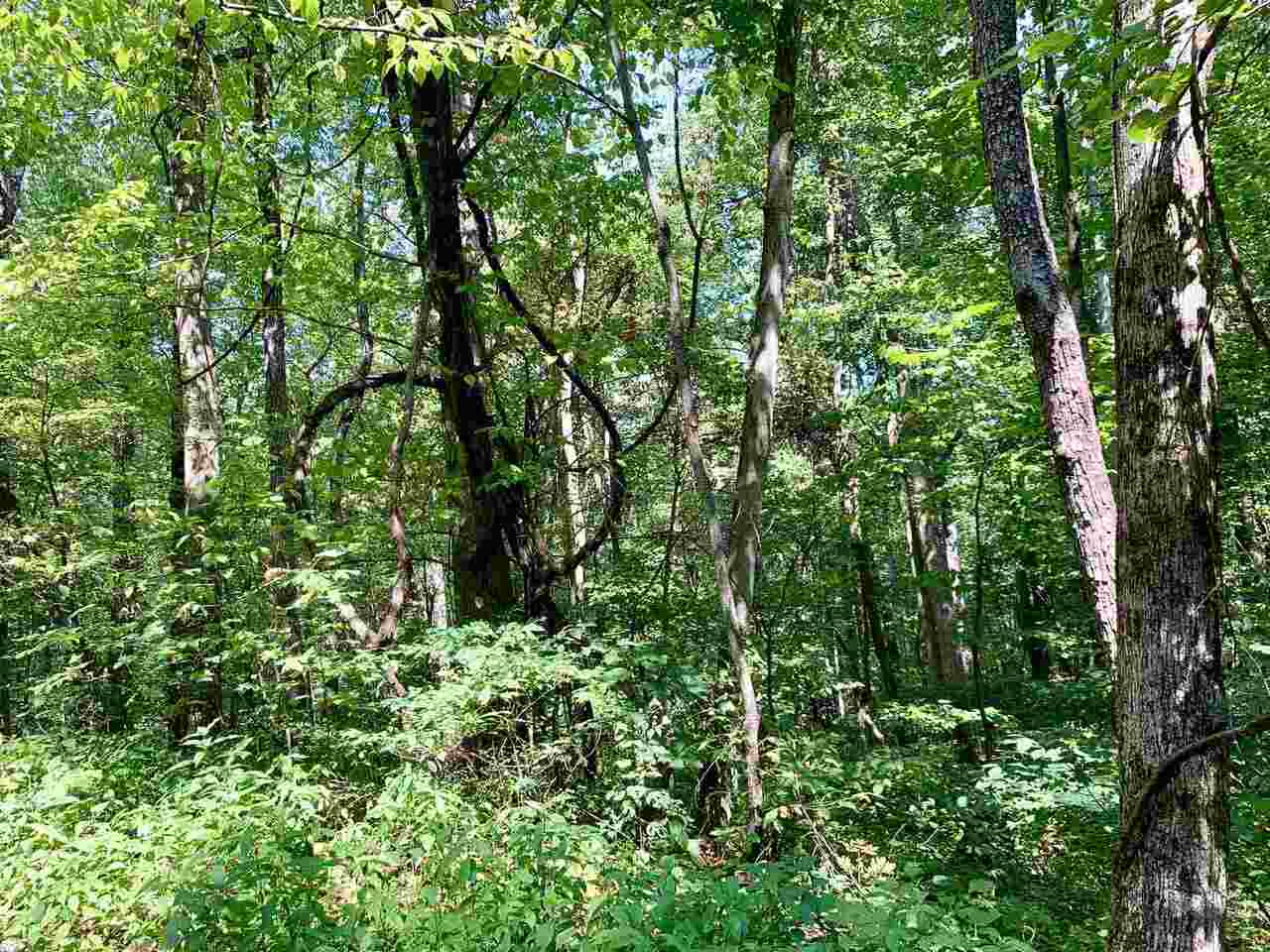 0 Spring Cove Road, Unit 38 Blairsville, GA 30512 - Photo 1 of 1 Gallery Image 1