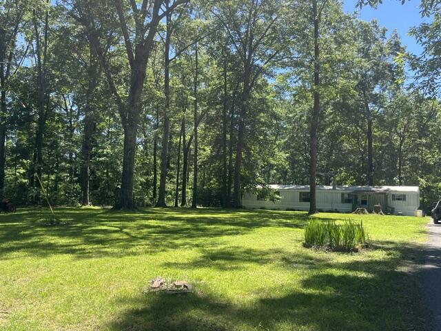 362 Cullen Savage Road Palmer, TN 37365 - Photo 65 of 76 IMG_7206