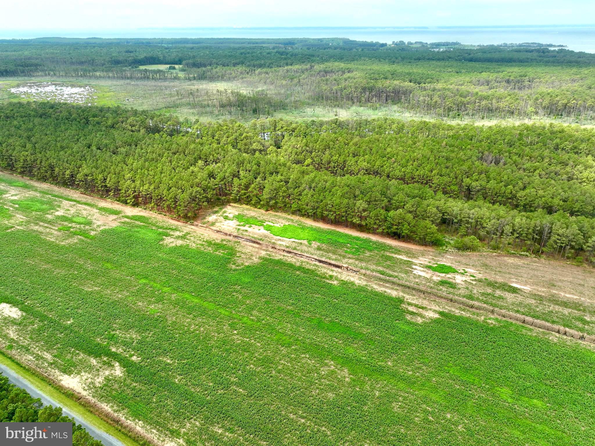 0 Hooper Neck Road Madison, MD 21648 - Photo 16 of 129