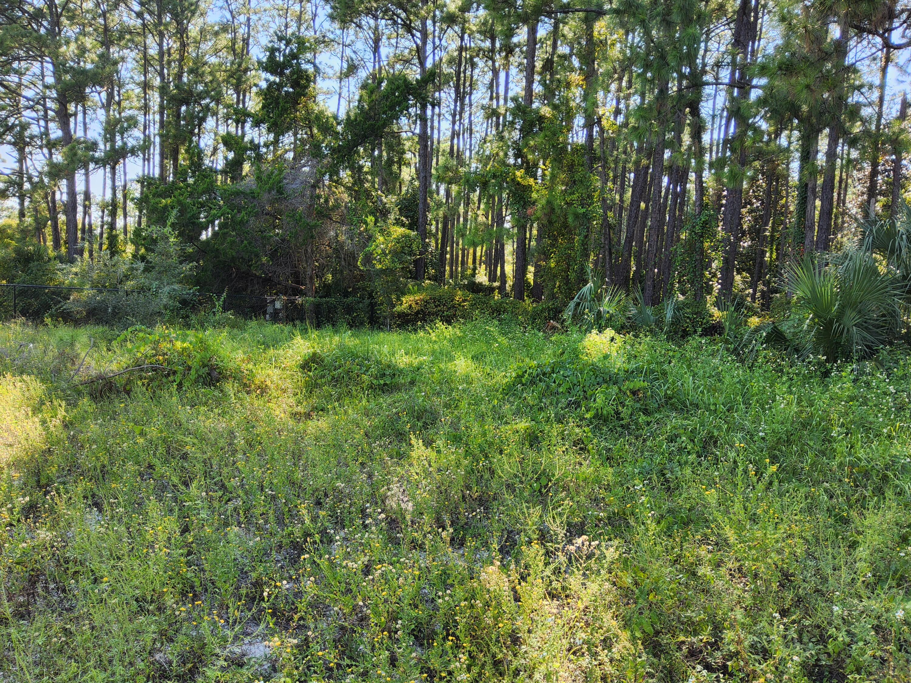 Lot 32 Redfish Circle Santa Rosa Beach, FL 32459 - Photo 1 of 5 Gallery Image 1