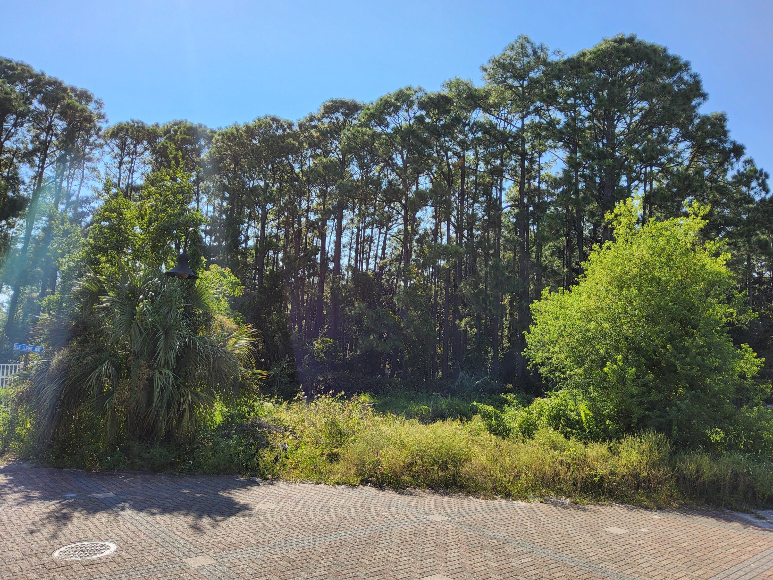 Lot 32 Redfish Circle Santa Rosa Beach, FL 32459 - Photo 2 of 5 Gallery Image 2