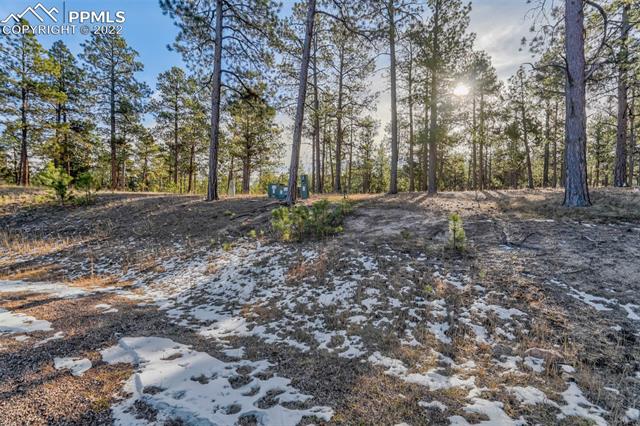 17501 Abert Ridge View Colorado Springs, CO 80908 - Photo 12 of 45 Gallery Image 12