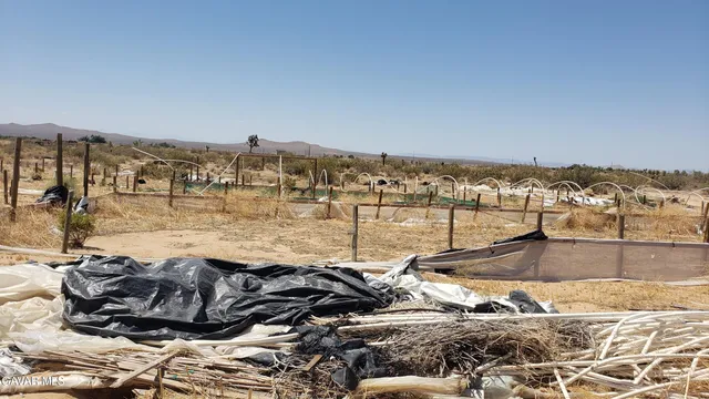a view of a terrace with a barbeque