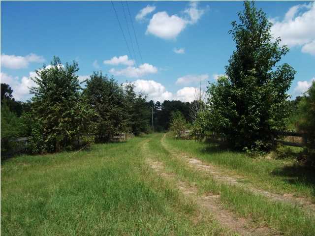 10926 Bell's Highway Ruffin, SC 29475 - Photo 20 of 21 Additional Photo