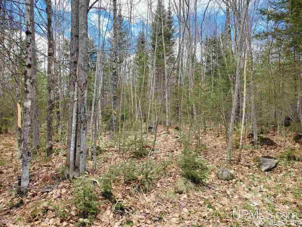 553 Rd Marquette Mi 49855 Road Marquette, MI 49855 - Photo 1 of 1
