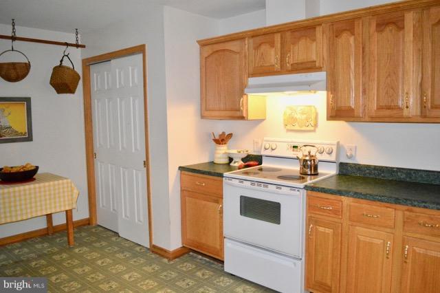 1450 Stringtown Road Berryville, VA 22611 - Photo 3 of 13 a kitchen with a sink cabinets and appliances