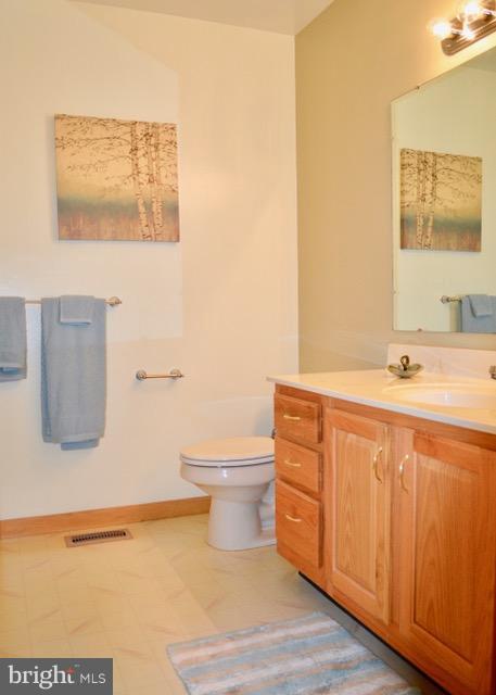 1450 Stringtown Road Berryville, VA 22611 - Photo 9 of 13 a bathroom with a sink a toilet and mirror