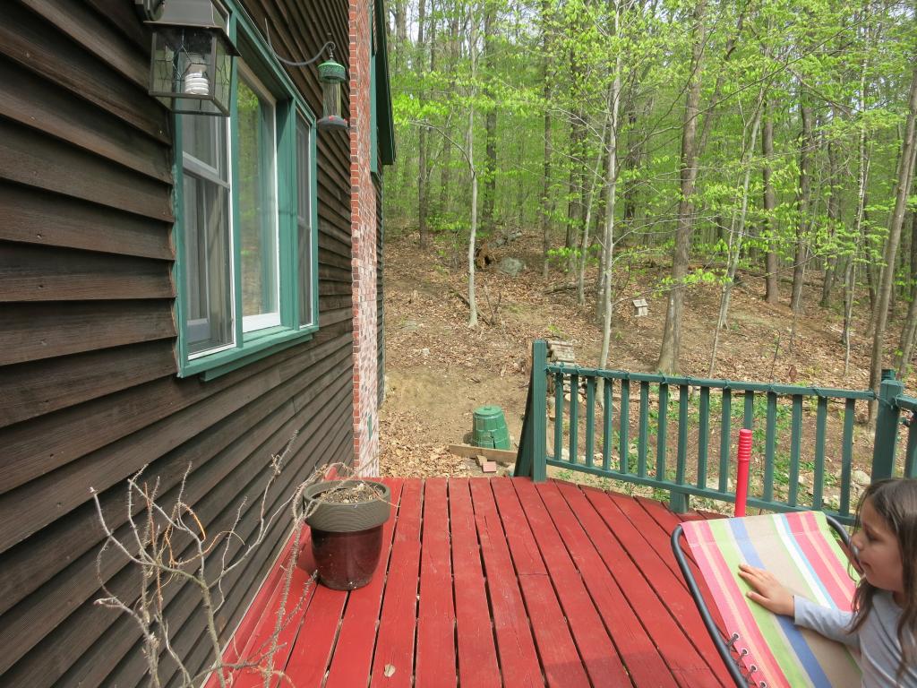 881 Youngs Ridge Road Acton, ME 04001 - Photo 23 of 29 Gallery Image 23