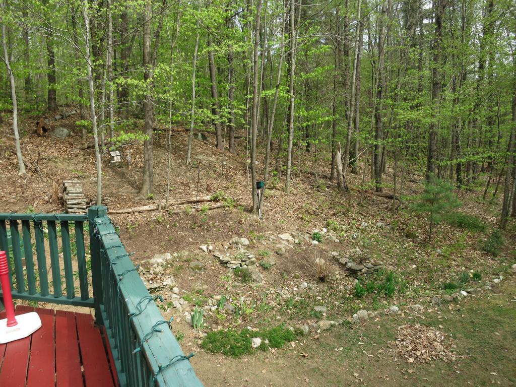 881 Youngs Ridge Road Acton, ME 04001 - Photo 24 of 29 Gallery Image 24