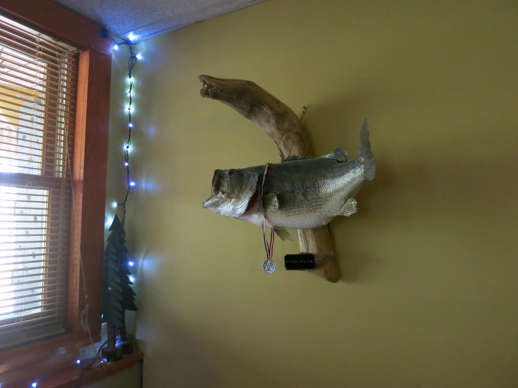 881 Youngs Ridge Road Acton, ME 04001 - Photo 27 of 29 Gallery Image 27
