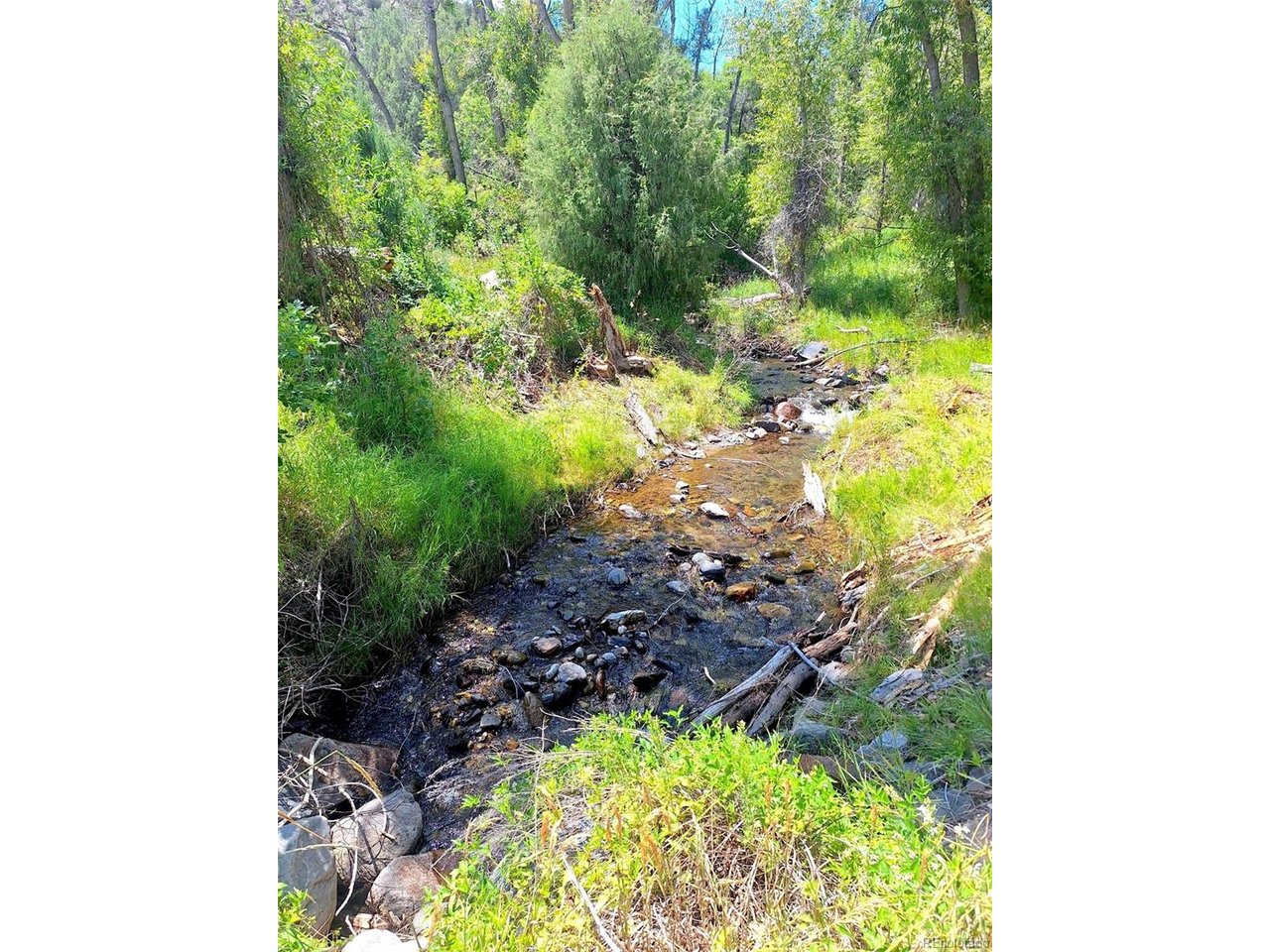 48 Rd Howard Co 81233 Howard, CO 81233 - Photo 1 of 15 Creek during a prosperous water year