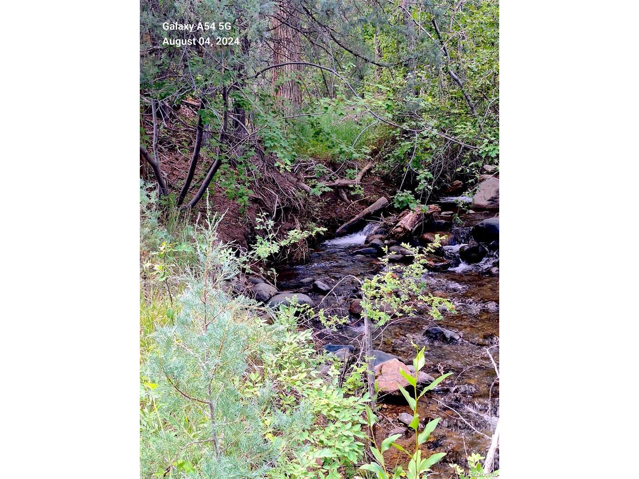 48 Rd Howard Co 81233 Howard, CO 81233 - Photo 2 of 15 Creek during a prosperous water year