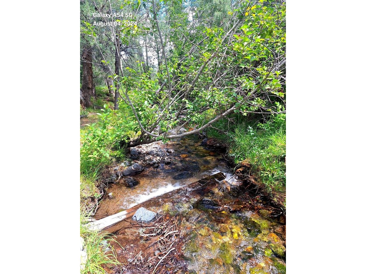 48 Rd Howard Co 81233 Howard, CO 81233 - Photo 3 of 15 Creek during a prosperous water year