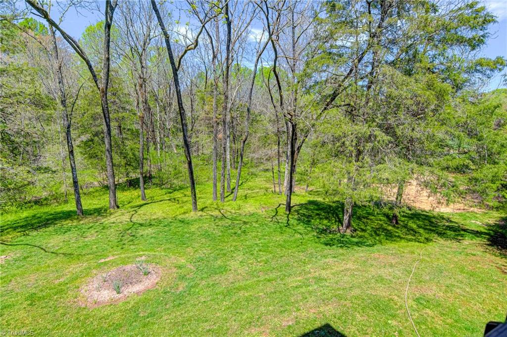 235 Marshall Smith Road Colfax, NC 27235 - Photo 44 of 49 Gallery Image 44