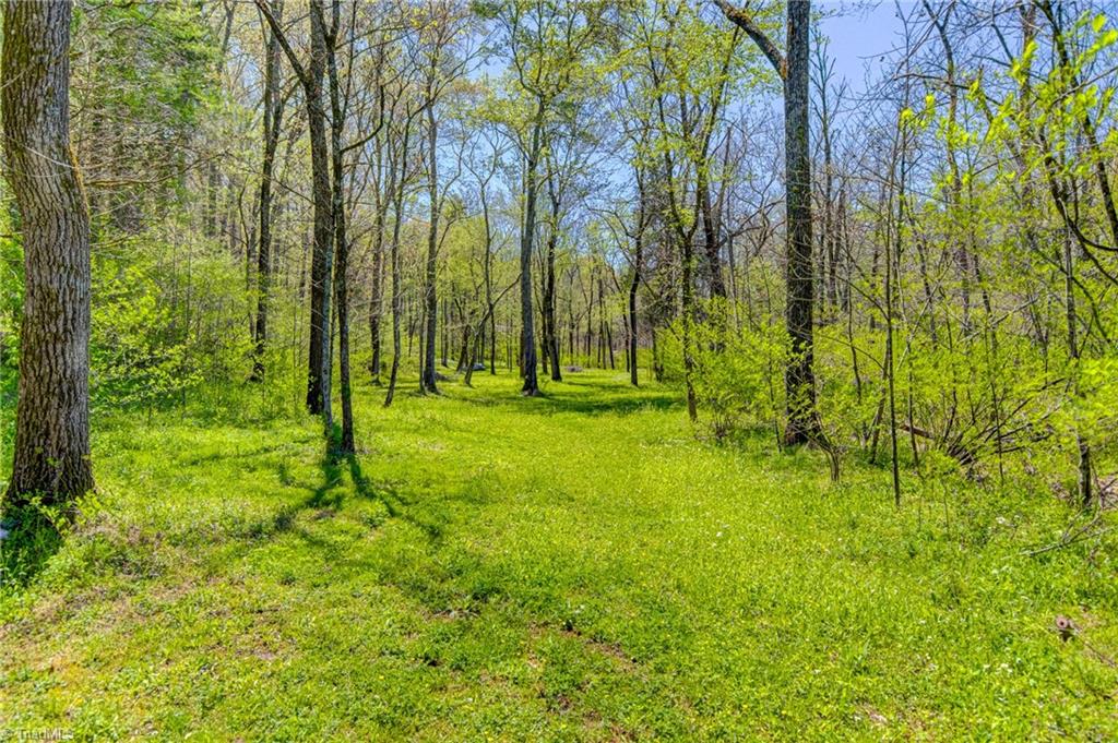 235 Marshall Smith Road Colfax, NC 27235 - Photo 45 of 49 Gallery Image 45