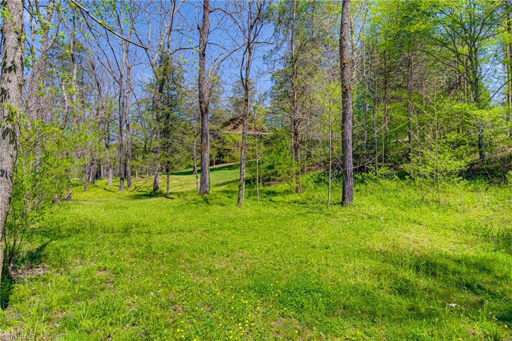 235 Marshall Smith Road Colfax, NC 27235 - Photo 46 of 49 Gallery Image 46