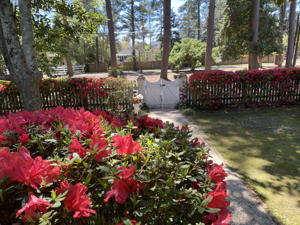 610 Colleton Avenue Southeast Aiken, SC 29801 - Photo 5 of 21