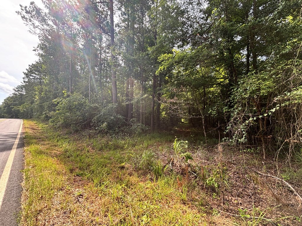 Lot 50 Burtom Road Eatonton, GA 31024 - Photo 6 of 17 Gallery Image 6