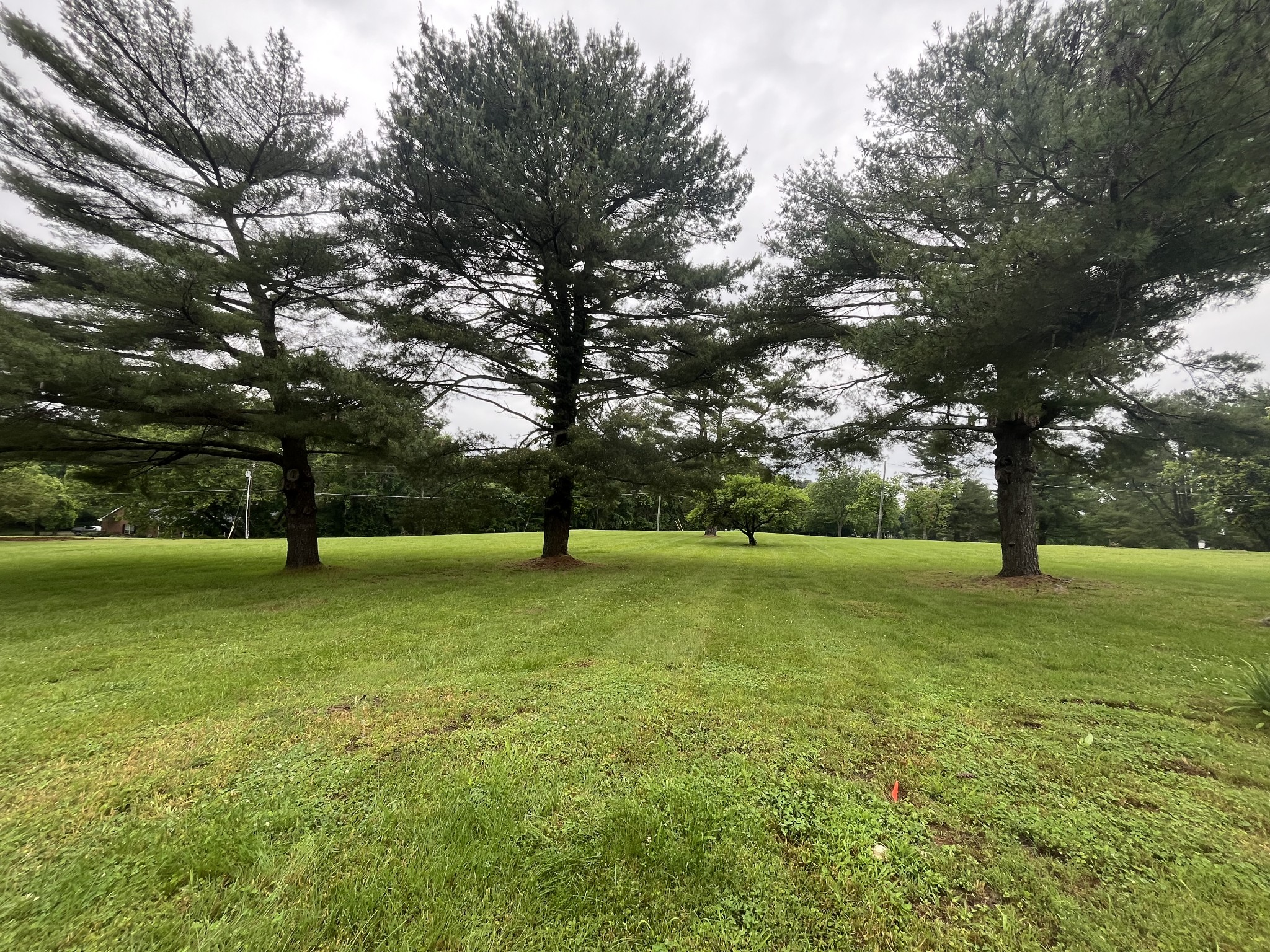 650 Vanderbilt Road Mount Juliet, TN 37122 - Photo 13 of 45 a view of a trees in a field