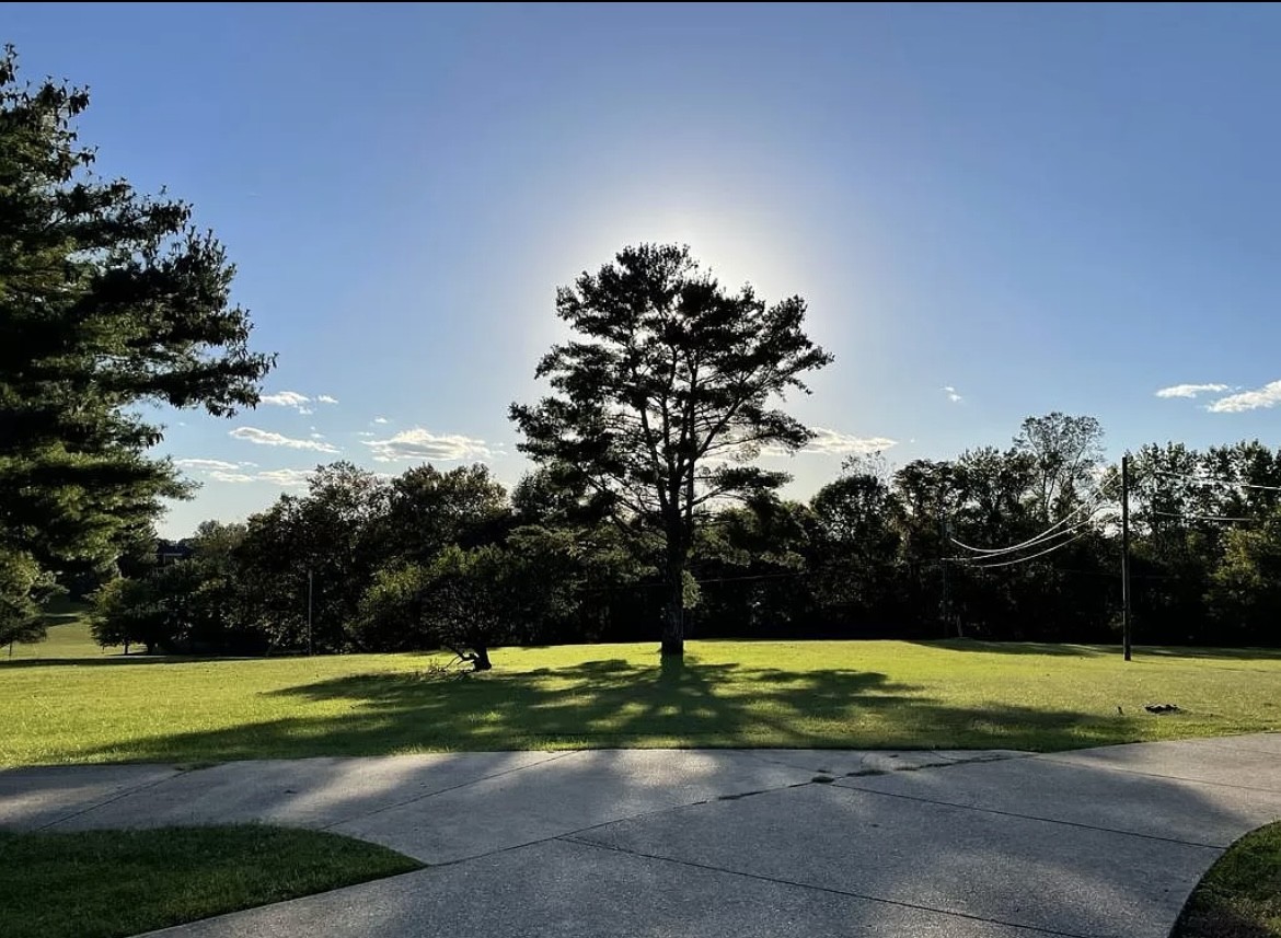 650 Vanderbilt Road Mount Juliet, TN 37122 - Photo 28 of 45 a view of a golf course