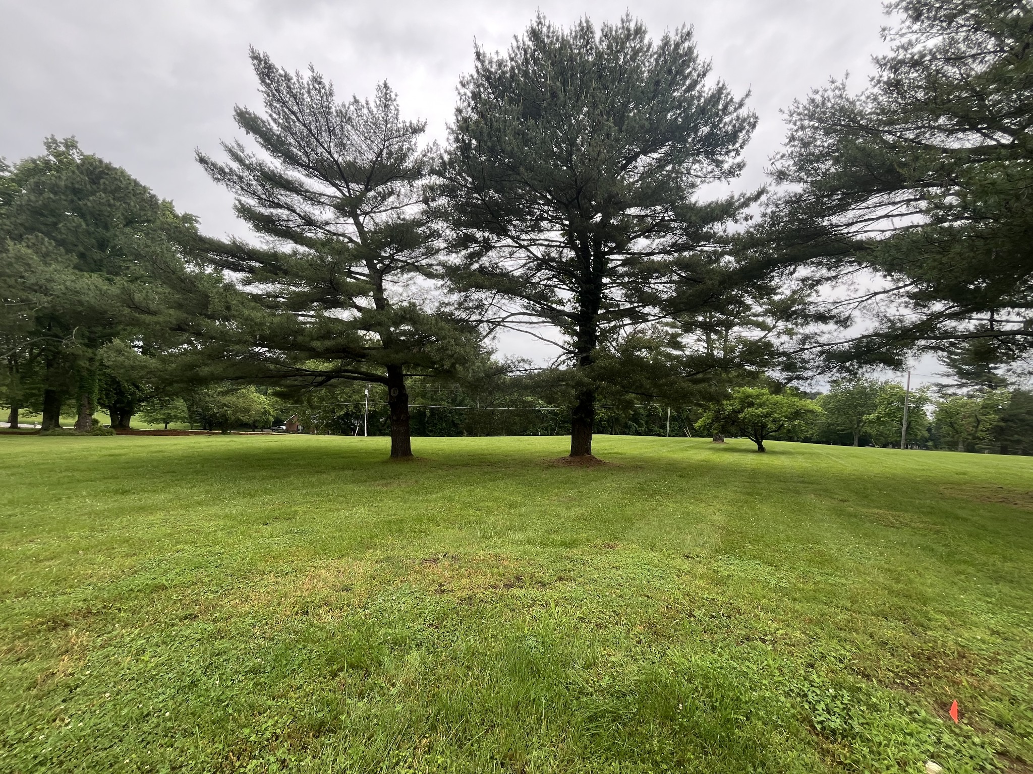 650 Vanderbilt Road Mount Juliet, TN 37122 - Photo 29 of 45 a view of a field