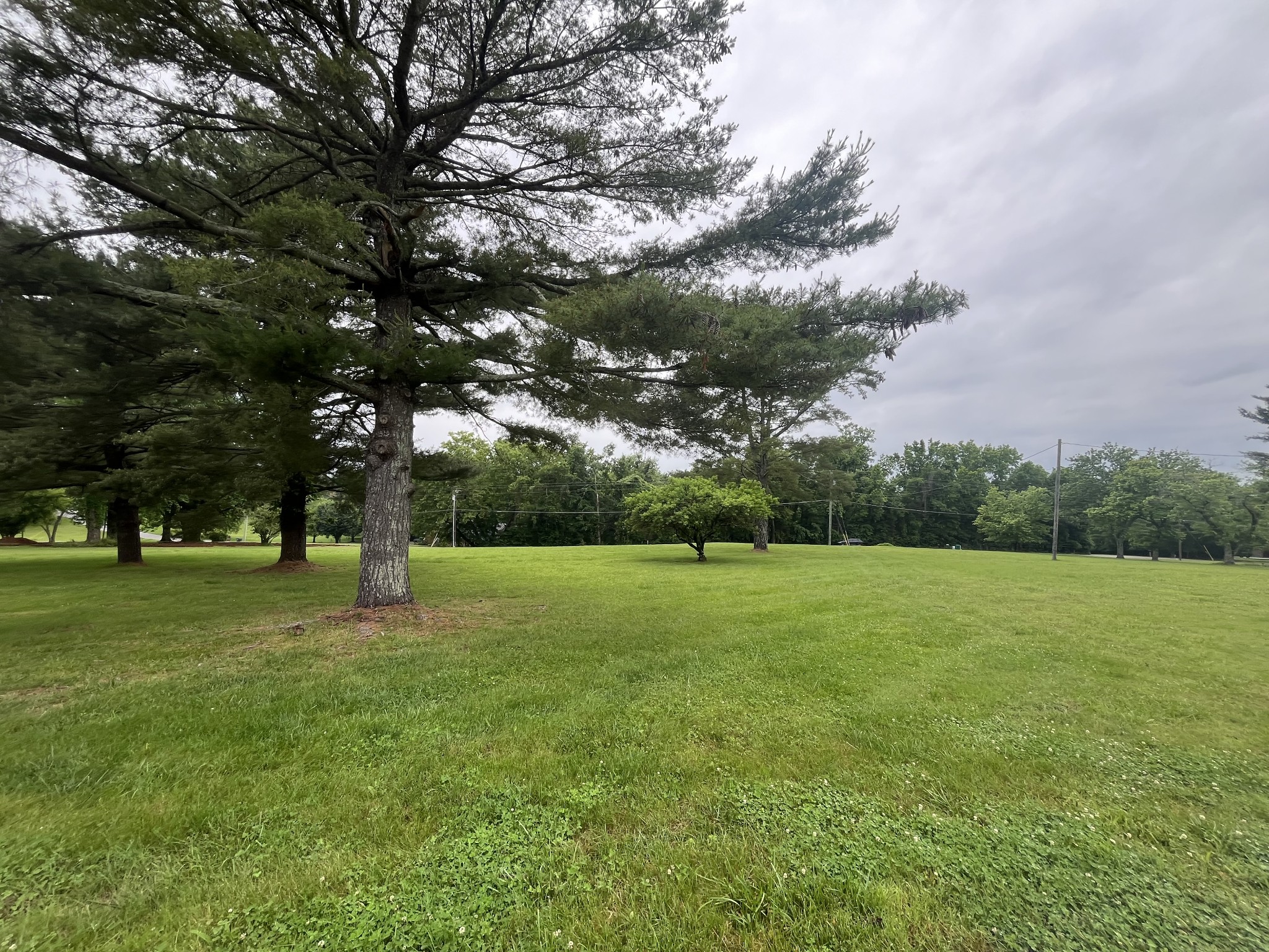 650 Vanderbilt Road Mount Juliet, TN 37122 - Photo 37 of 45 a view of field with tall trees