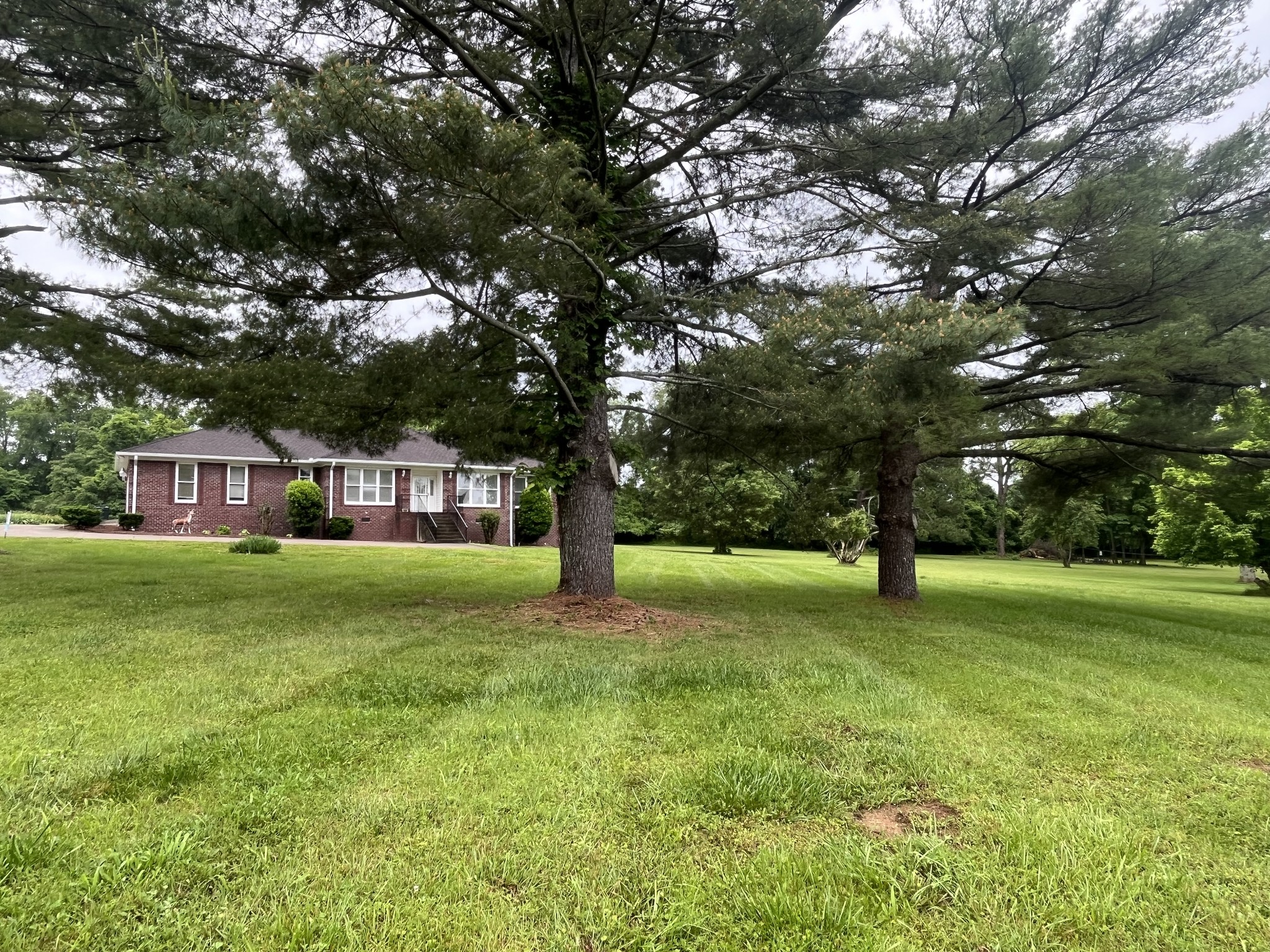 650 Vanderbilt Road Mount Juliet, TN 37122 - Photo 39 of 45 a view of a house with a yard
