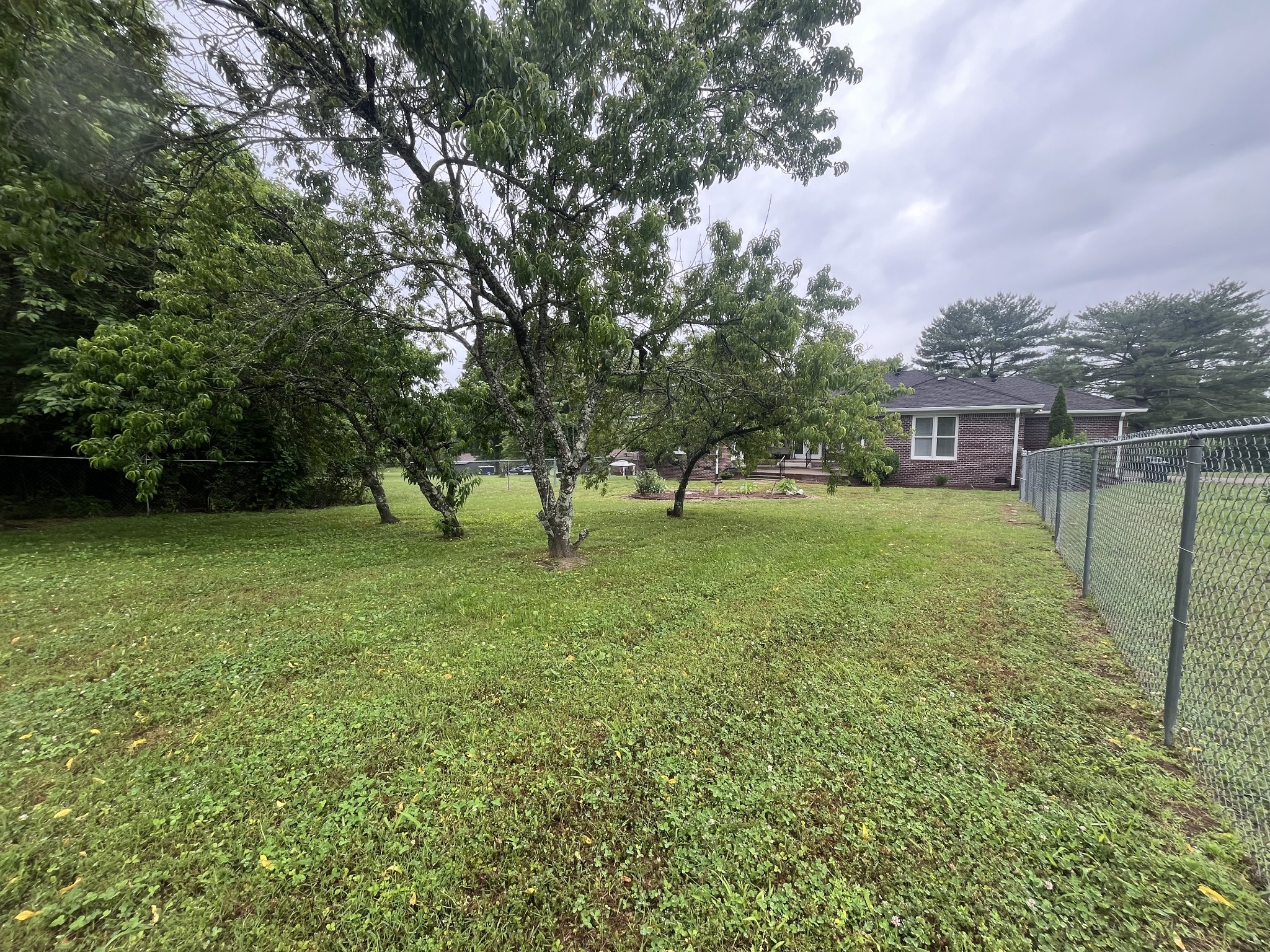 650 Vanderbilt Road Mount Juliet, TN 37122 - Photo 41 of 45 a view of a house with a yard