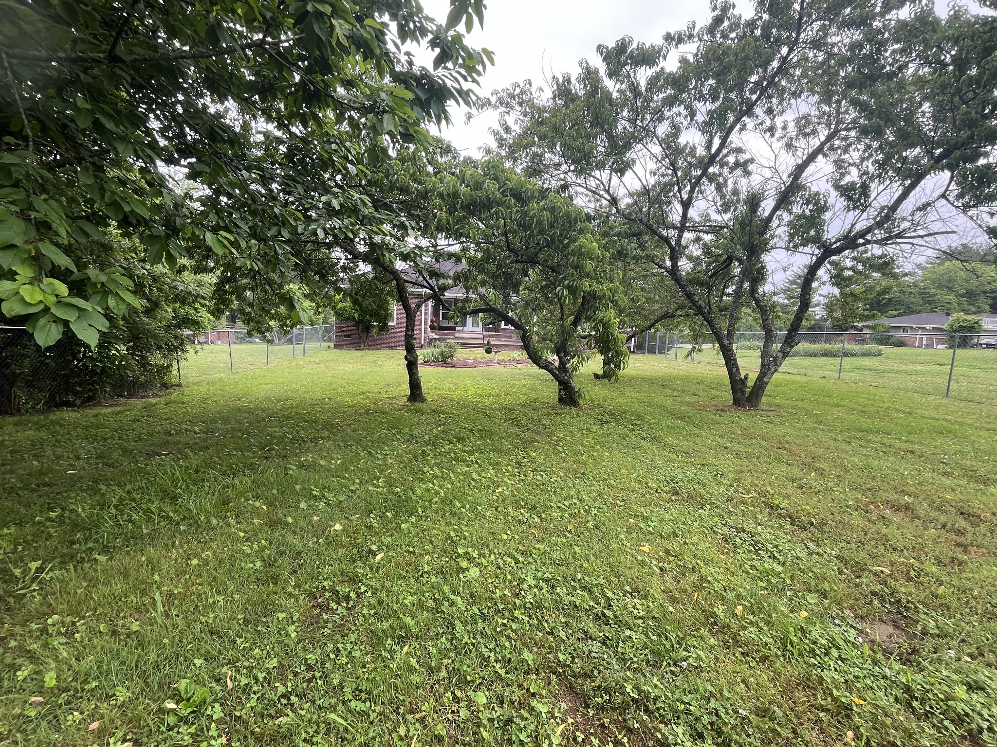 650 Vanderbilt Road Mount Juliet, TN 37122 - Photo 42 of 45 a view of three trees and a yard