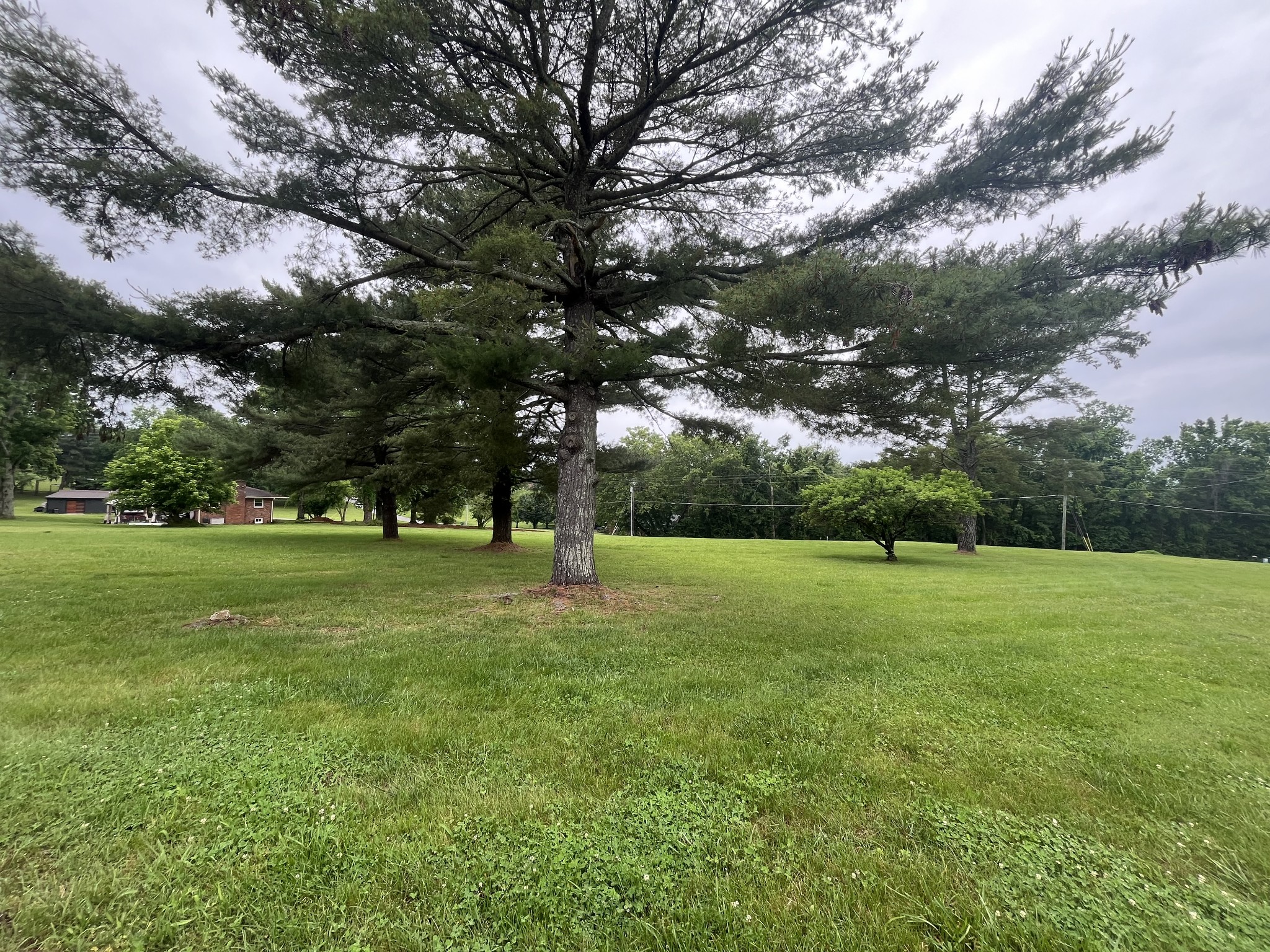 650 Vanderbilt Road Mount Juliet, TN 37122 - Photo 45 of 45 a view of field with tall trees