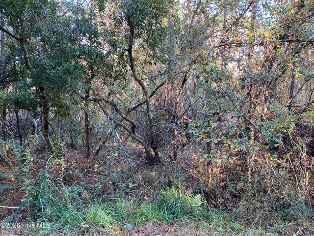 $59,900 | 255 Wards Lane, Havelock, NC 28532