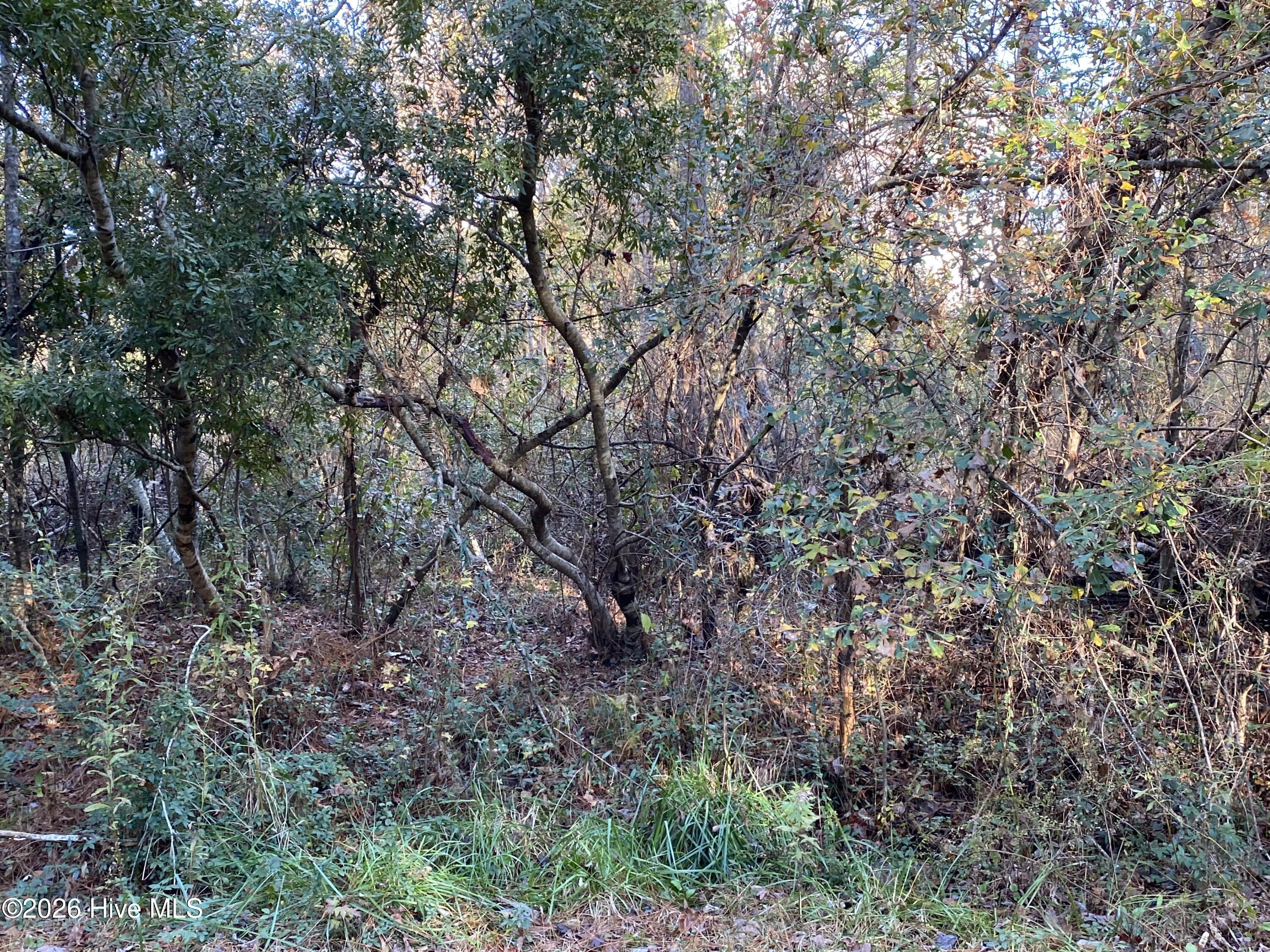 255 Wards Lane Havelock, NC 28532 - Photo 1 of 8 255 Wards Ln