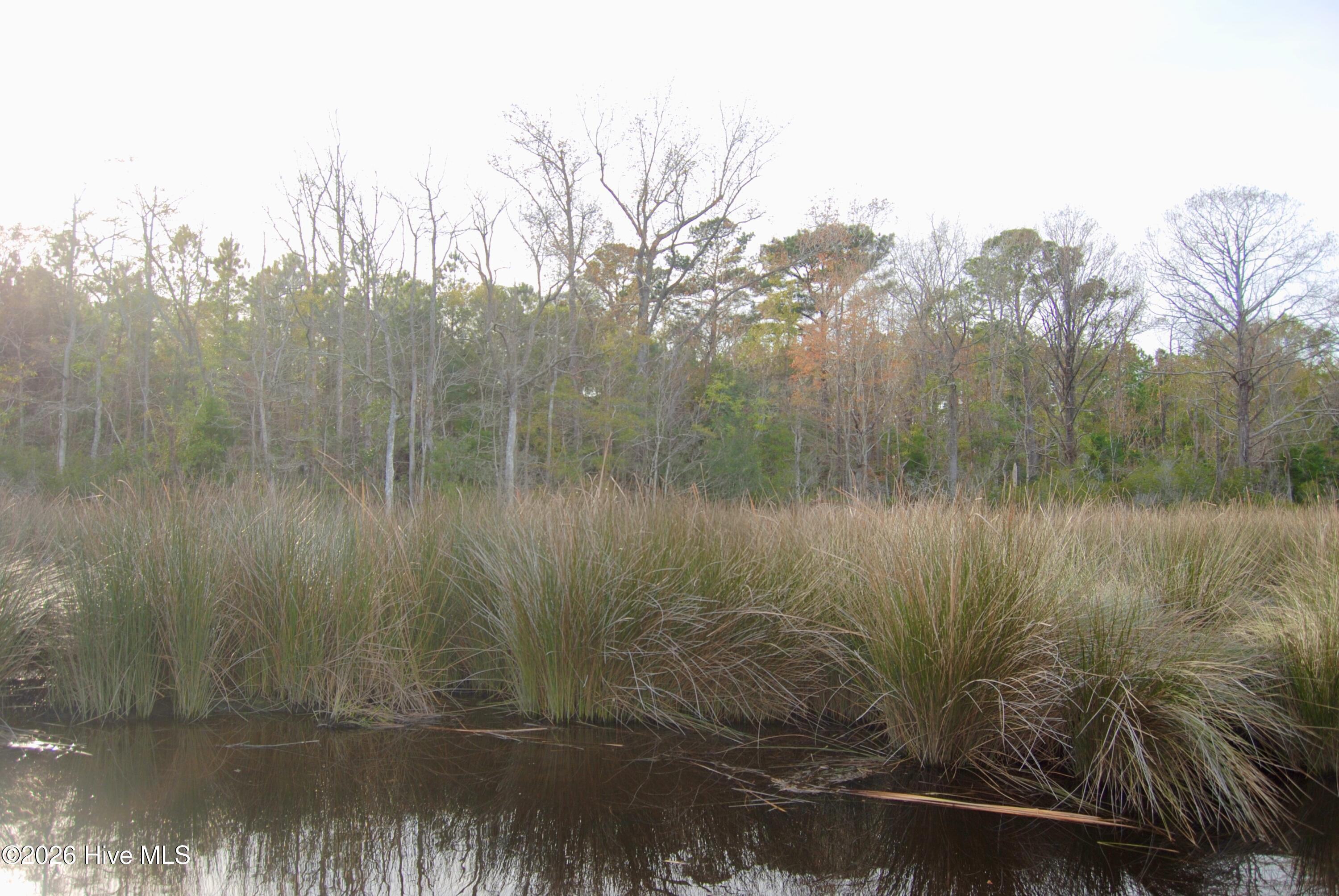 255 Wards Lane Havelock, NC 28532 - Photo 8 of 8 255 Wards