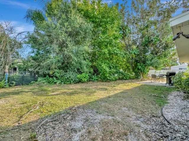 a view of a yard with a tree