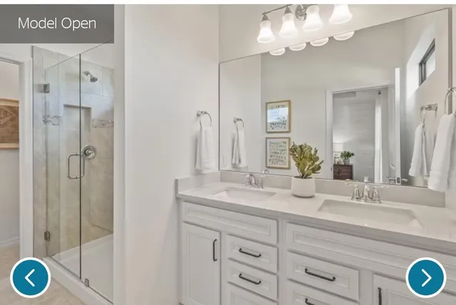 a bathroom with a sink vanity and shower