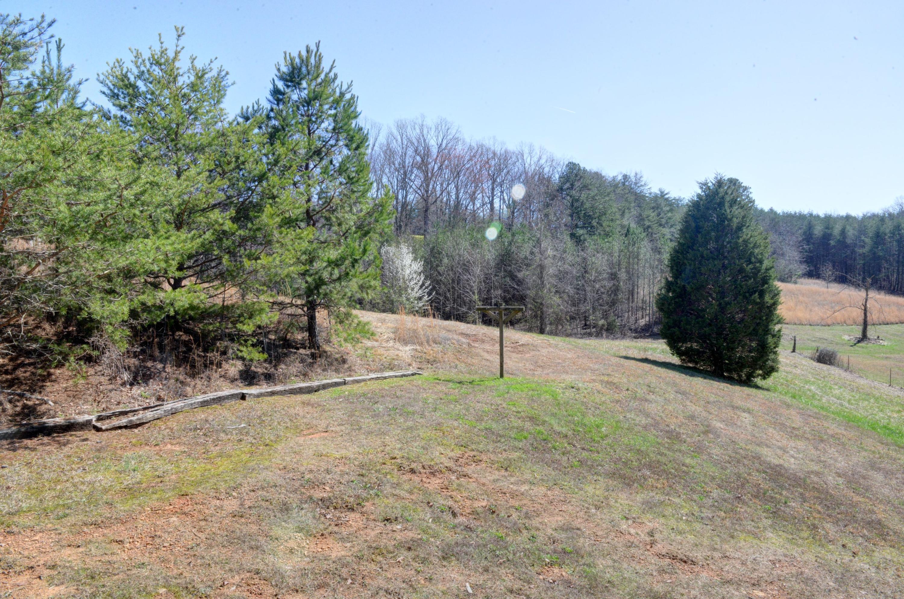 10008 Back Valley Road Evensville, TN 37332 - Photo 30 of 38 30.Back Valley Back Yard