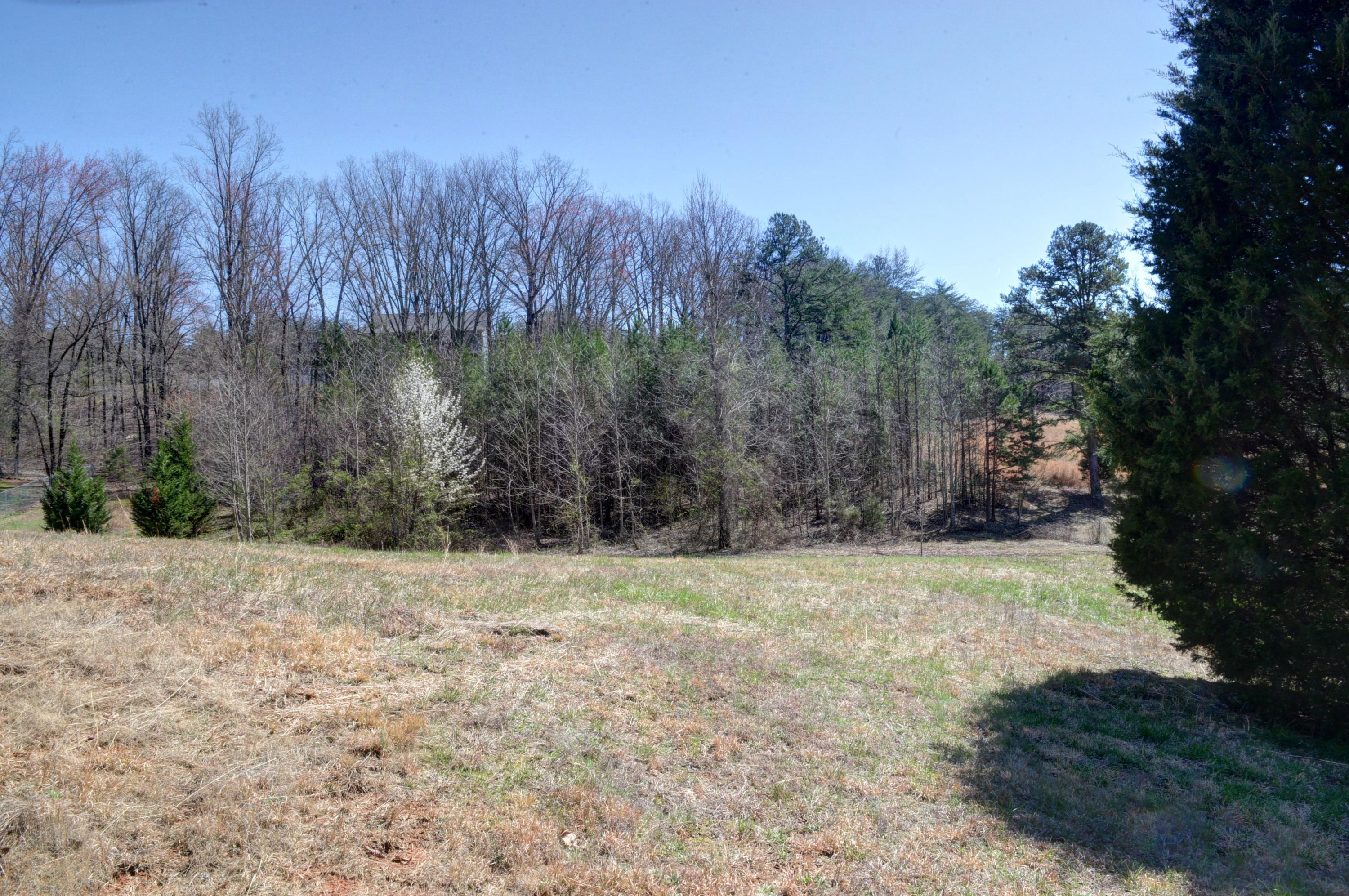 10008 Back Valley Road Evensville, TN 37332 - Photo 31 of 38 31.Back Valley Back Yard 2