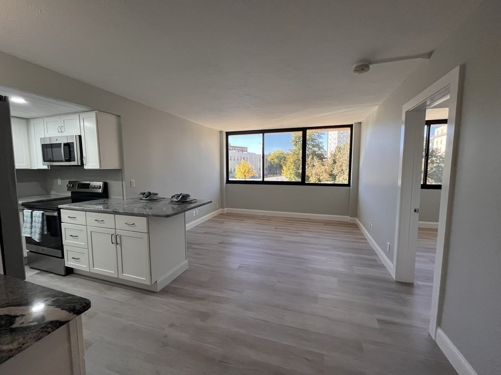 70 Southbridge Street, Unit 215 Worcester, MA 01608 - Photo 2 of 27 a kitchen with granite countertop a stove top oven a sink dishwasher and a refrigerator with wooden floor