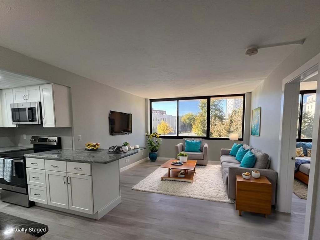 70 Southbridge Street, Unit 215 Worcester, MA 01608 - Photo 3 of 27 a living room with furniture and a flat screen tv