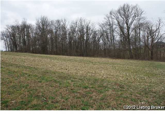 1 Plum Run Road Bardstown, KY 40004 - Photo 1 of 5 Primary Photo